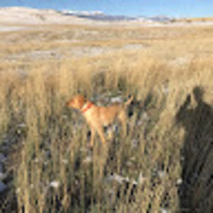 Meet your Posher, Matt